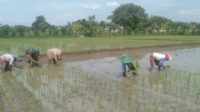 IMG-20251230-WA0023