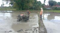 IMG-20260104-WA0006