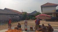 WhatsApp Image 2026-06-17 at 12.54.42