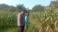 WhatsApp Image 2026-06-19 at 09.50.32