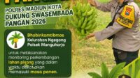 IMG-20260727-WA0005