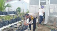 IMG-20260801-WA0007