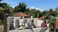 IMG-20261019-WA0013
