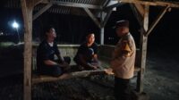 WhatsApp Image 2026-10-19 at 11.22.41